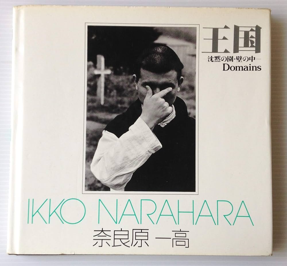 【中古】 Ｎｏｗな写真術１２章/朝日ソノラマ/児島昭雄 中古】 Nowな写真術12章 (現代カメラ新書) / 児島昭雄 / 朝日